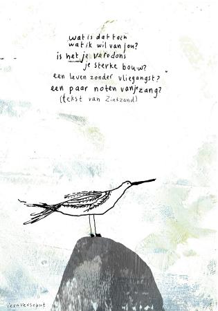 lied van de vogelaar